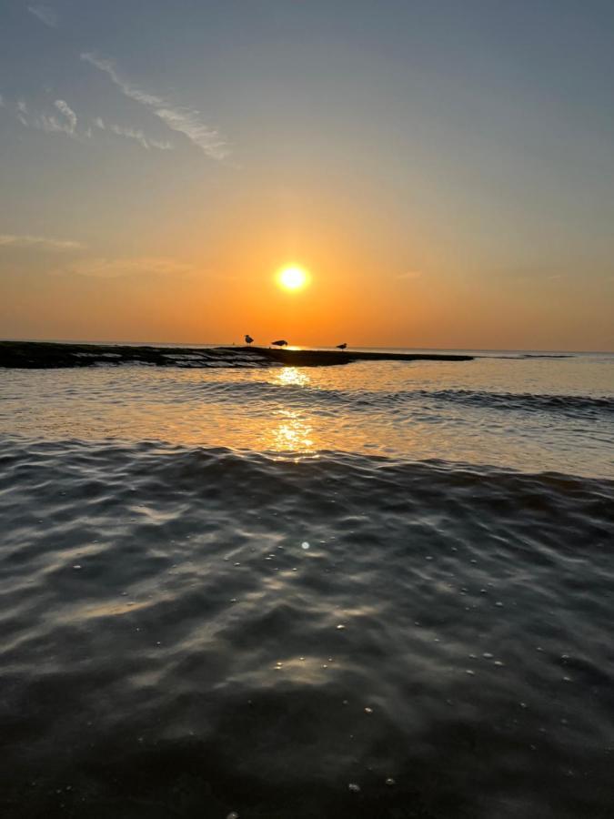 Bungalow De Strandjutter 8 Persons Middelkerke Εξωτερικό φωτογραφία